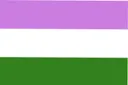 genderqueerflag