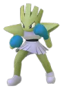 HitmonchanShiny