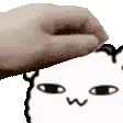 CBheadpat