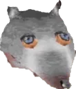 tiredrat