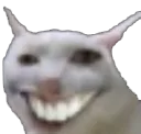 KreepyKat