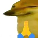Dorime