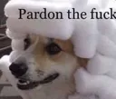 pardonthefuck