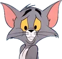 vis_tom