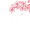 gl_Sakura