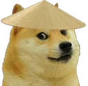 Doge