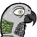 birbsweat
