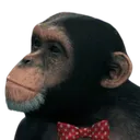 ConfusedMonke
