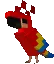 parrotdance