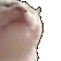 catJAM catJAM