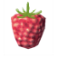:raspberry: