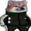 Tepsi_Meme_dogbruh