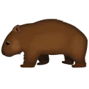 wombat