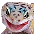 GeckW