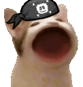rpfcatpog Discord emoji