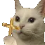 no
