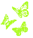 butterflygreen