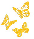 butterflyyellow