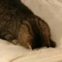 UE