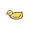 9855_duck