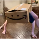 amazonspider