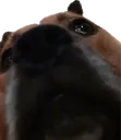 Lpeek Lpeek