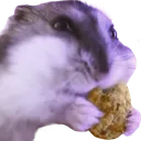 Nommers