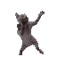Cat Dancing catdancing Discord Emoji