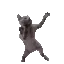 CatDancing