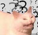 Confused Cat confused_cat Discord Emoji