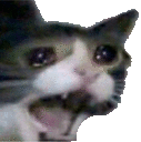 Screaming Cat Discord Emoji