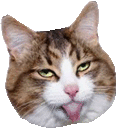 Cattongue cattongue Discord Emoji