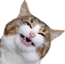 Catsmile2 catSmile2 Discord Emoji