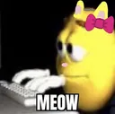 joemeow