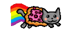 fly_cat Discord Emoji