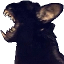 Theyawncat Discord Emoji