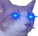 CatCuteEyesBlue