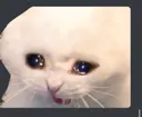 Crying Cat crying_cat Discord Emoji