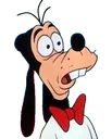 DingoChoque