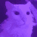 ch_dinosaur2 Discord emoji
