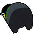 ShelAmongAss