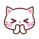 cat_pray cat_pray