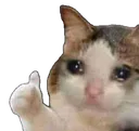 cryup cryup