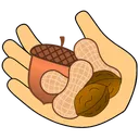 HoldNuts