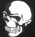 skulls skulls