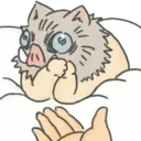 InosukeBaby InosukeBaby
