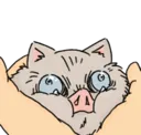 InosukeSquish2 InosukeSquish2