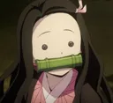pgNezuko