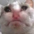 sourcat