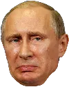 putinfrown